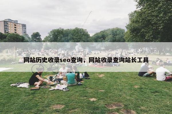 网站历史收录seo查询，网站收录查询站长工具-第1张图片-冷动云