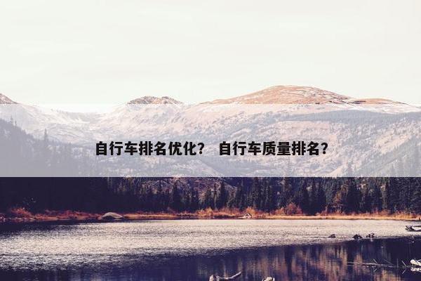 自行车排名优化？ 自行车质量排名？-第1张图片-冷动云