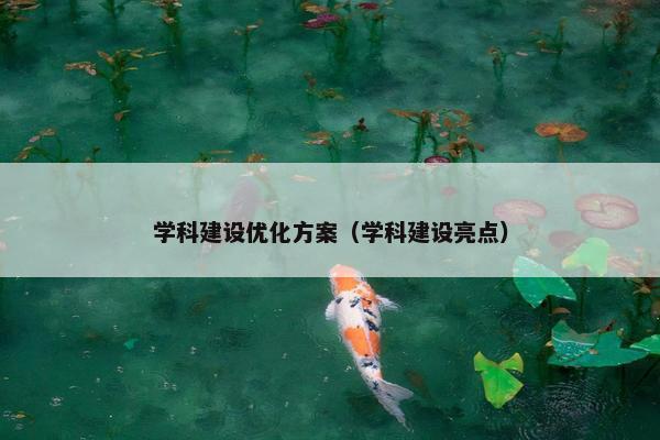 学科建设优化方案（学科建设亮点）-第1张图片-冷动云