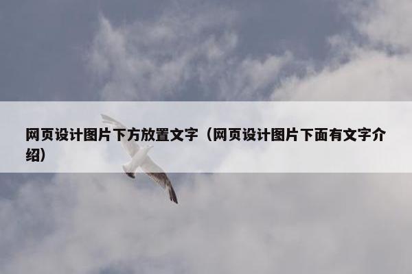 网页设计图片下方放置文字（网页设计图片下面有文字介绍）-第1张图片-冷动云