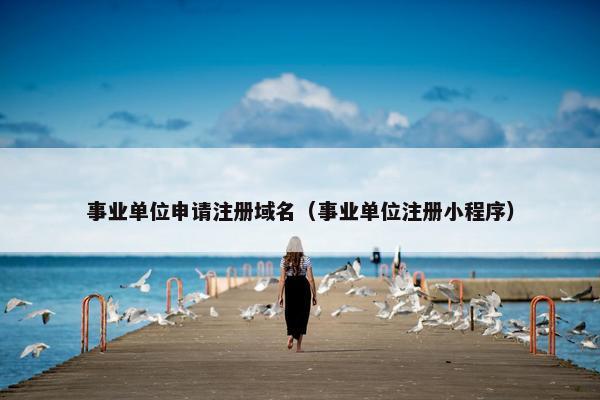 事业单位申请注册域名（事业单位注册小程序）-第1张图片-冷动云