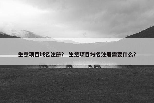 生意项目域名注册？ 生意项目域名注册需要什么？-第1张图片-冷动云