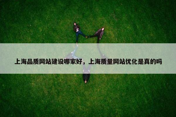 上海品质网站建设哪家好，上海质量网站优化是真的吗-第1张图片-冷动云