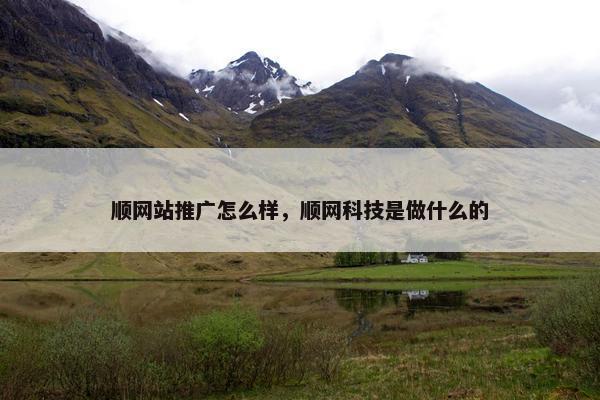 顺网站推广怎么样，顺网科技是做什么的-第1张图片-冷动云