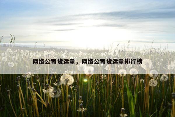 网络公司货运量，网络公司货运量排行榜-第1张图片-冷动云