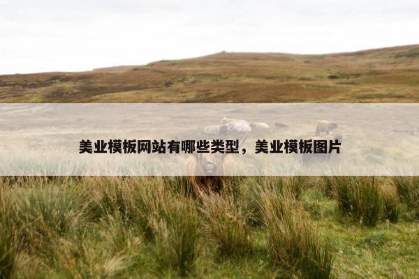 美业模板网站有哪些类型，美业模板图片-第1张图片-冷动云