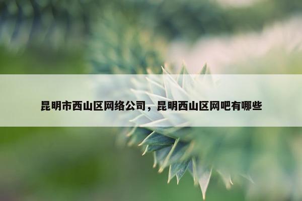 昆明市西山区网络公司，昆明西山区网吧有哪些-第1张图片-冷动云