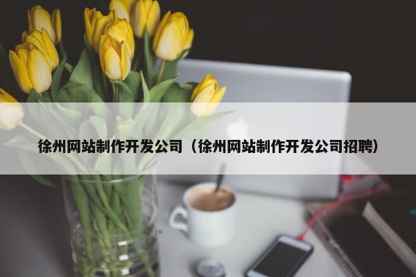 徐州网站制作开发公司（徐州网站制作开发公司招聘）-第1张图片-冷动云