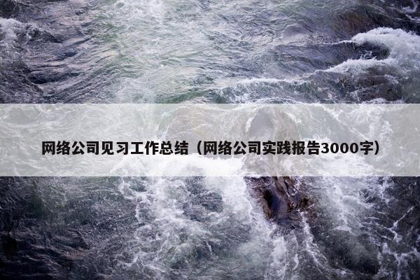 网络公司见习工作总结（网络公司实践报告3000字）-第1张图片-冷动云