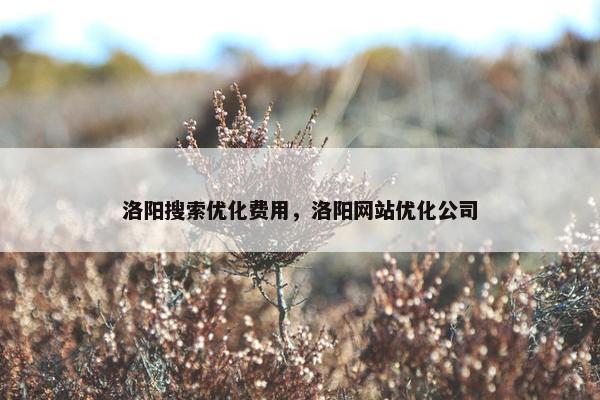 洛阳搜索优化费用，洛阳网站优化公司-第1张图片-冷动云