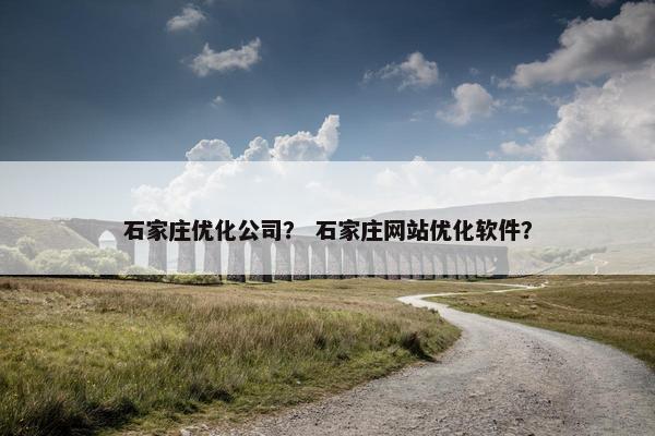 石家庄优化公司？ 石家庄网站优化软件？-第1张图片-冷动云