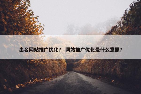 出名网站推广优化？ 网站推广优化是什么意思？-第1张图片-冷动云