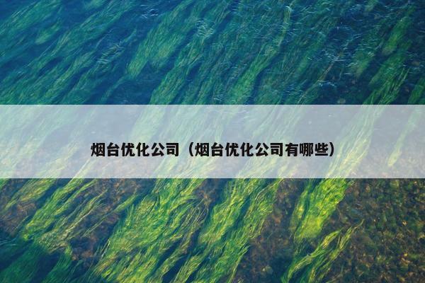 烟台优化公司（烟台优化公司有哪些）-第1张图片-冷动云