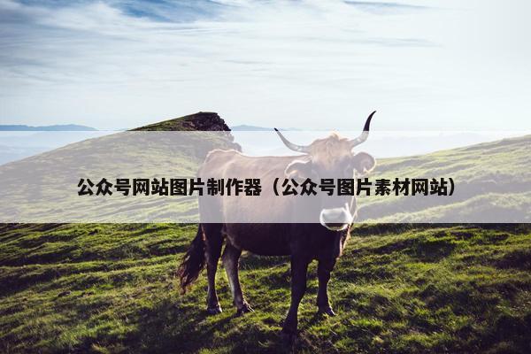 公众号网站图片制作器（公众号图片素材网站）-第1张图片-冷动云