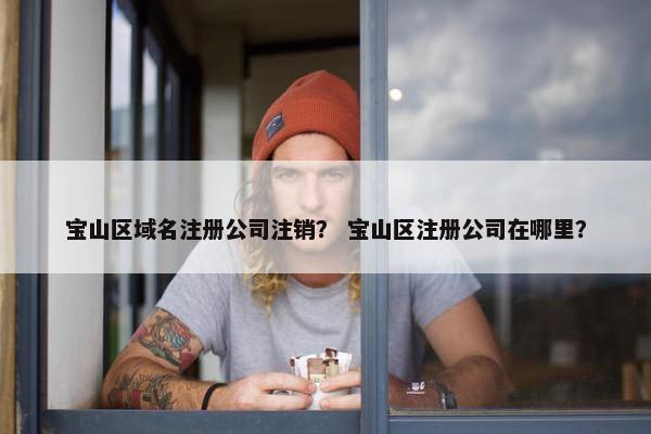 宝山区域名注册公司注销？ 宝山区注册公司在哪里？-第1张图片-冷动云