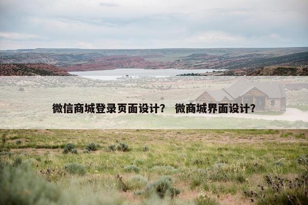 微信商城登录页面设计？ 微商城界面设计？-第1张图片-冷动云