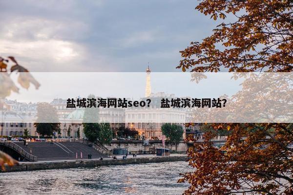 盐城滨海网站seo？ 盐城滨海网站？-第1张图片-冷动云