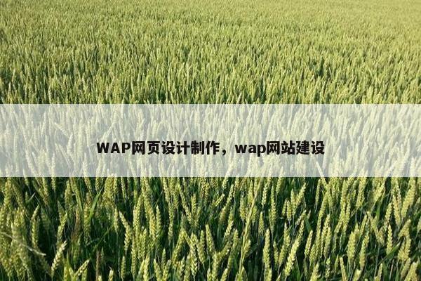 WAP网页设计制作，wap网站建设-第1张图片-冷动云