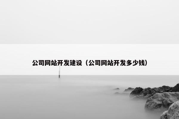 公司网站开发建设（公司网站开发多少钱）-第1张图片-冷动云
