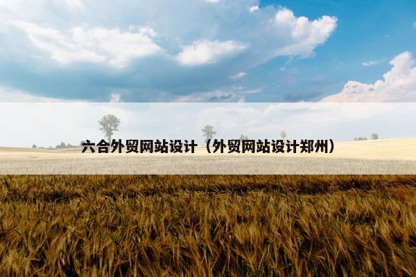 六合外贸网站设计（外贸网站设计郑州）-第1张图片-冷动云