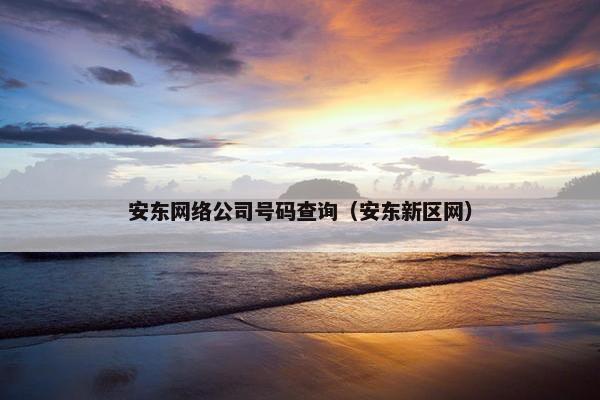 安东网络公司号码查询（安东新区网）-第1张图片-冷动云