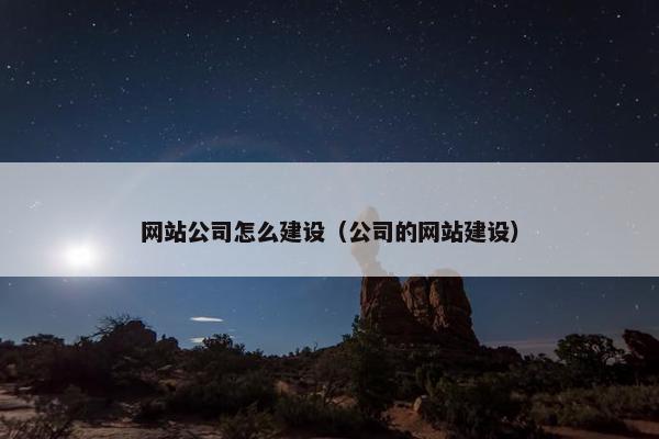 网站公司怎么建设（公司的网站建设）-第1张图片-冷动云