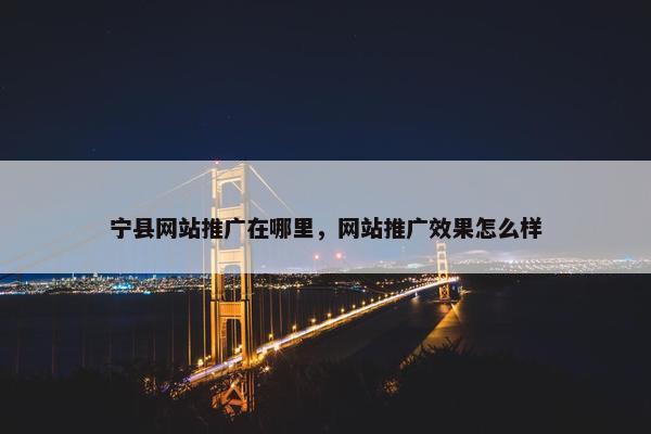 宁县网站推广在哪里，网站推广效果怎么样-第1张图片-冷动云