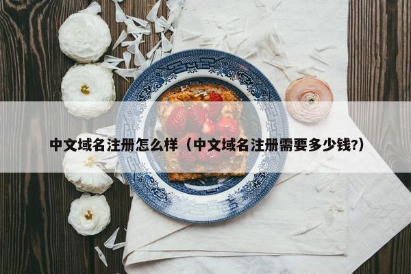 中文域名注册怎么样（中文域名注册需要多少钱?）-第1张图片-冷动云