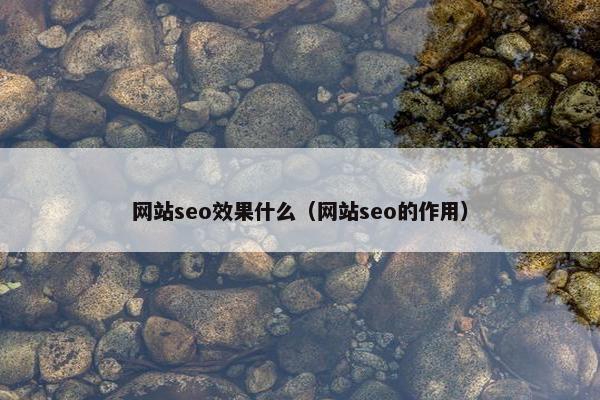 网站seo效果什么（网站seo的作用）-第1张图片-冷动云