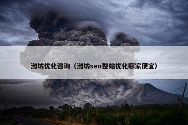 潍坊优化咨询（潍坊seo整站优化哪家便宜）-第1张图片-冷动云