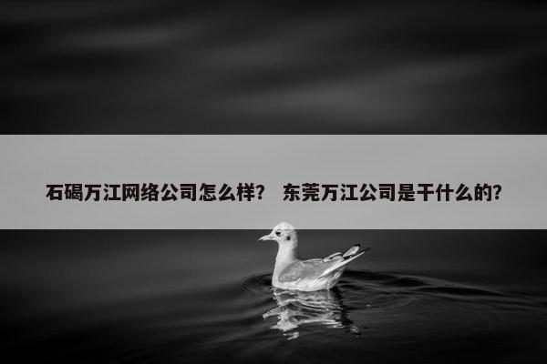 石碣万江网络公司怎么样？ 东莞万江公司是干什么的？-第1张图片-冷动云