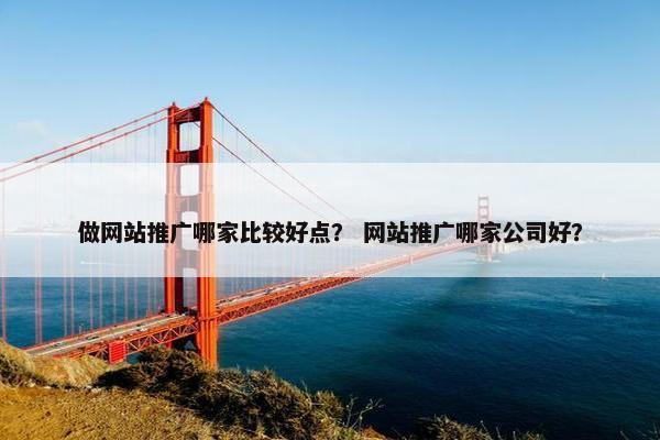 做网站推广哪家比较好点？ 网站推广哪家公司好？-第1张图片-冷动云