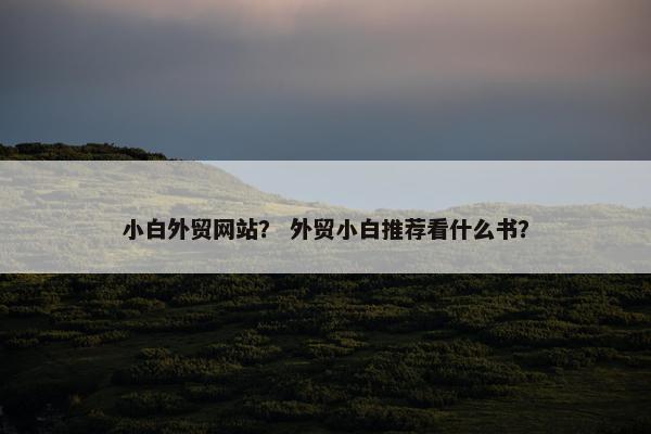 小白外贸网站？ 外贸小白推荐看什么书？-第1张图片-冷动云