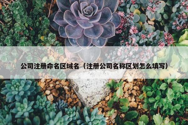 公司注册命名区域名（注册公司名称区划怎么填写）-第1张图片-冷动云