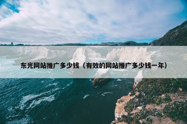 东光网站推广多少钱（有效的网站推广多少钱一年）-第1张图片-冷动云