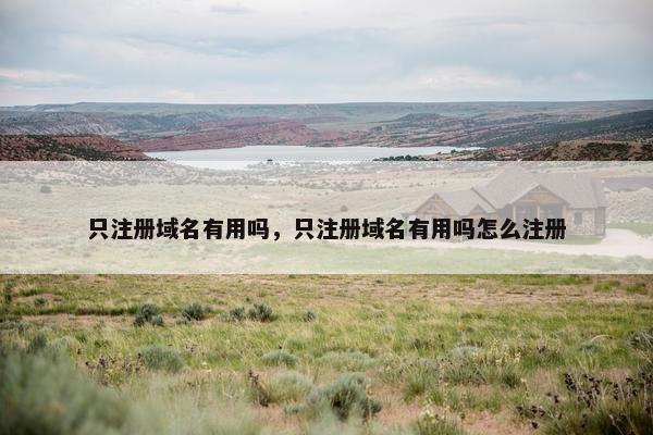 只注册域名有用吗，只注册域名有用吗怎么注册-第1张图片-冷动云