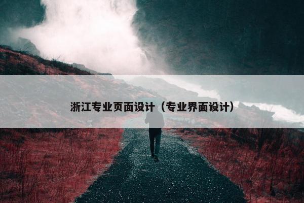 浙江专业页面设计（专业界面设计）-第1张图片-冷动云