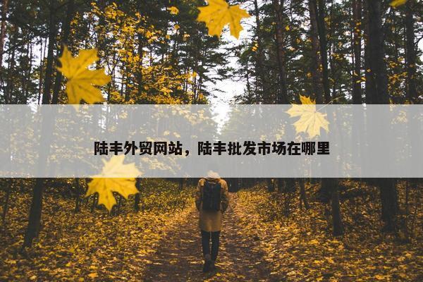 陆丰外贸网站，陆丰批发市场在哪里-第1张图片-冷动云