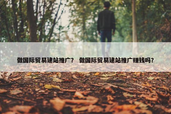 做国际贸易建站推广？ 做国际贸易建站推广赚钱吗？-第1张图片-冷动云