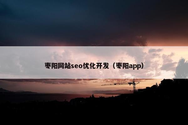 枣阳网站seo优化开发（枣阳app）-第1张图片-冷动云