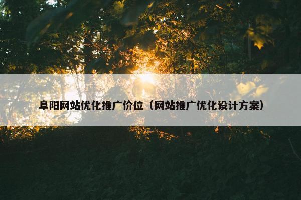 阜阳网站优化推广价位（网站推广优化设计方案）-第1张图片-冷动云