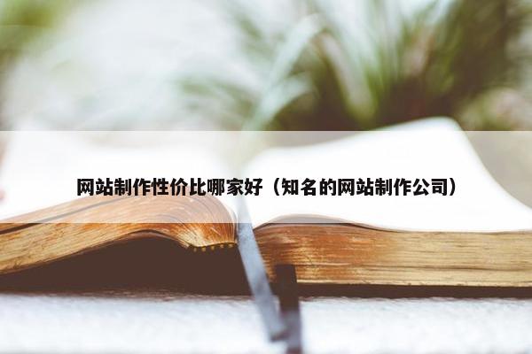 网站制作性价比哪家好（知名的网站制作公司）-第1张图片-冷动云