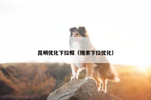 昆明优化下拉框（搜索下拉优化）-第1张图片-冷动云