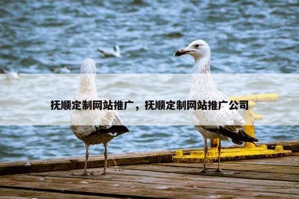 抚顺定制网站推广，抚顺定制网站推广公司-第1张图片-冷动云