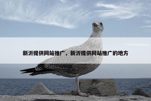 新沂提供网站推广，新沂提供网站推广的地方-第1张图片-冷动云