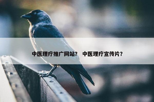 中医理疗推广网站？ 中医理疗宣传片？-第1张图片-冷动云