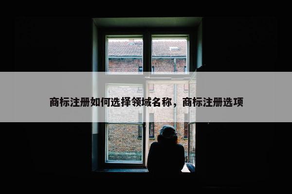商标注册如何选择领域名称，商标注册选项-第1张图片-冷动云