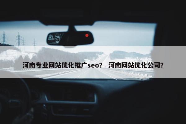 河南专业网站优化推广seo？ 河南网站优化公司？-第1张图片-冷动云