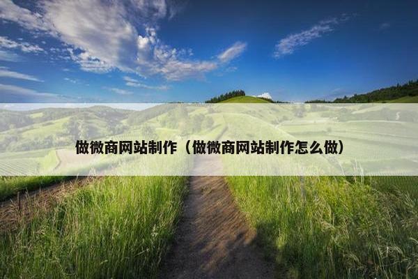 做微商网站制作（做微商网站制作怎么做）-第1张图片-冷动云