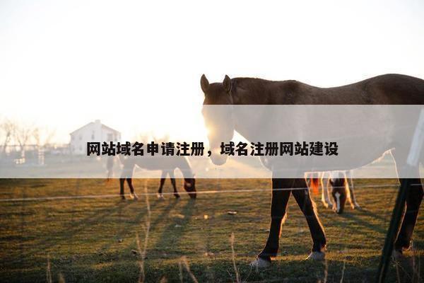 网站域名申请注册，域名注册网站建设-第1张图片-冷动云